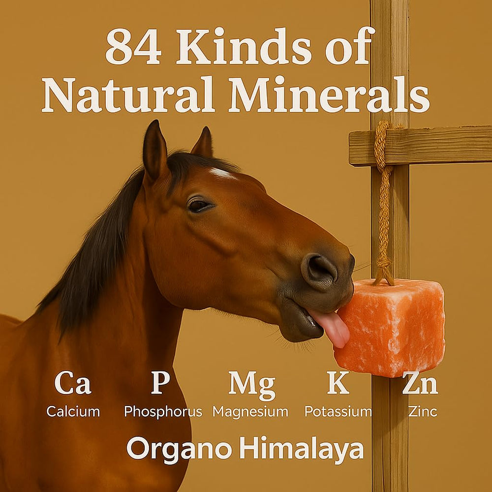 Organo Himalaya salt block packaging ships safely in corrugated box