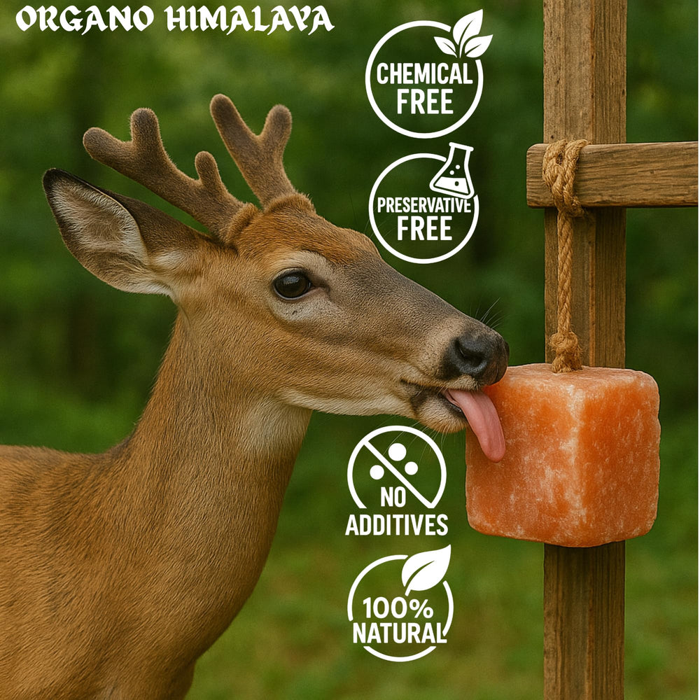 Organo Himalaya weather-resistant salt lick withstands rain and humidity for year-round feeding.
