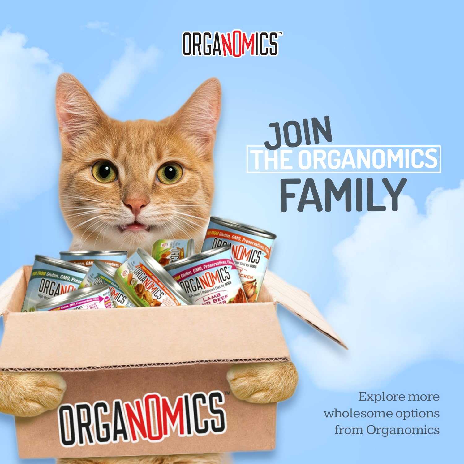 OrgaNOMics Lamb & Beef Dinner BPA-free can emphasizes safety and daily meals