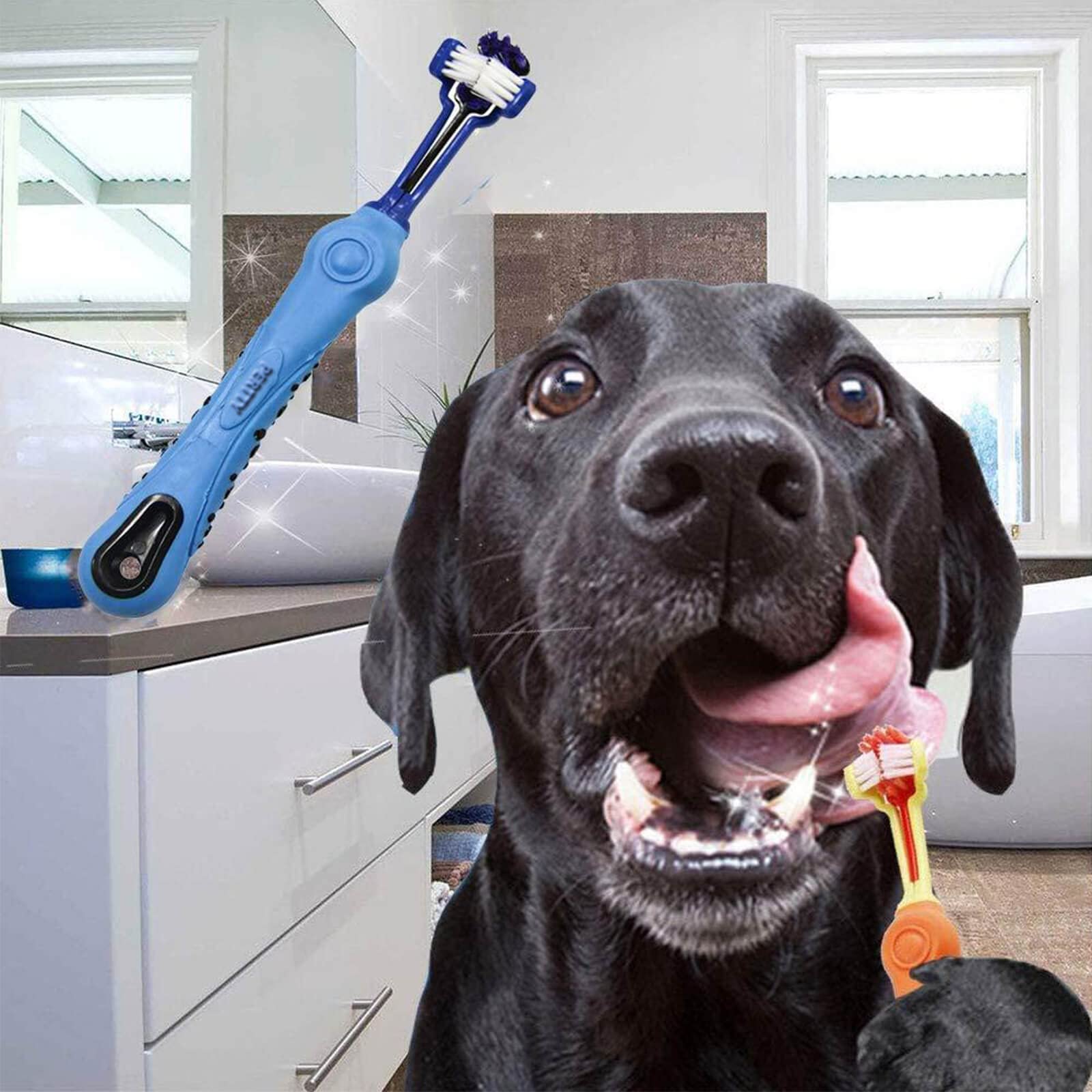 Orgrimmar dishwasher-safe toothbrush for easy cleaning
