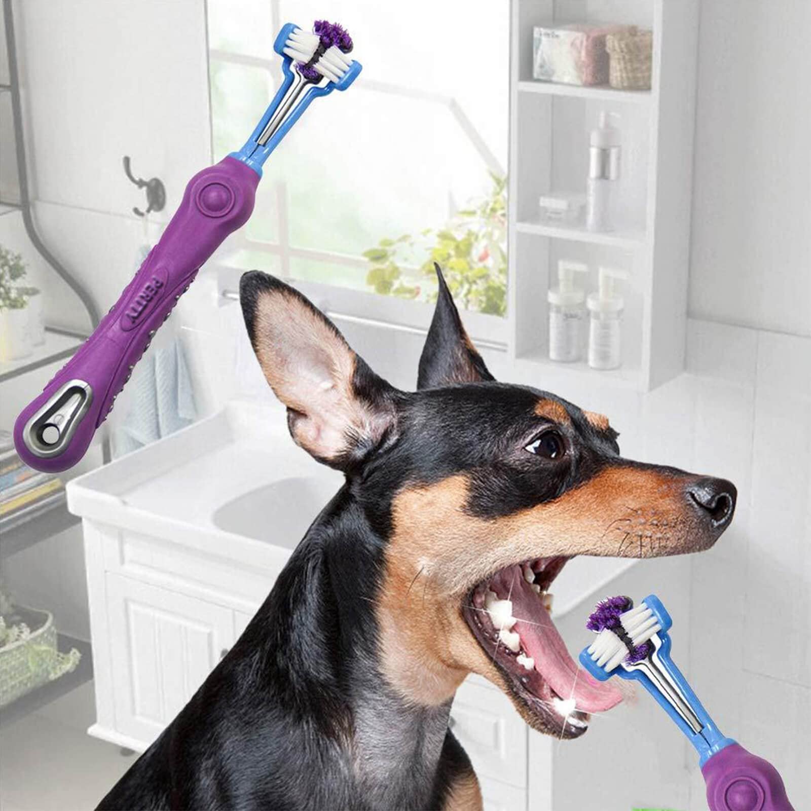 Orgrimmar dog cat brush with rubber handle for secure grip