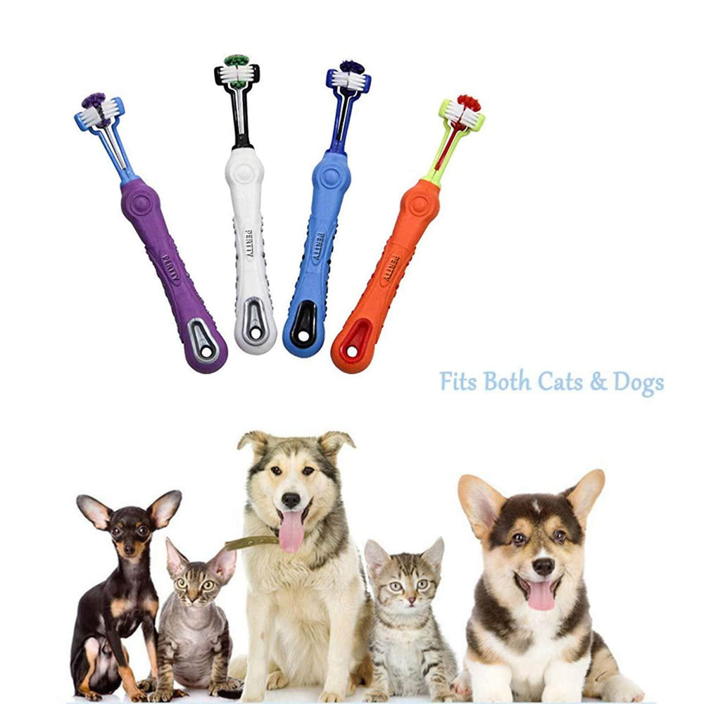 Orgrimmar ergonomic pet toothbrush design fits hands comfortably