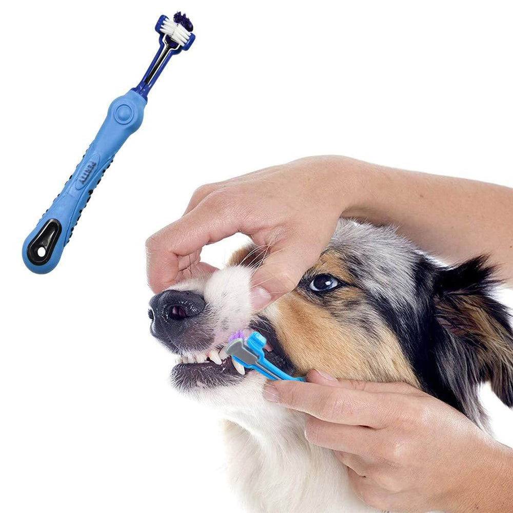 Orgrimmar pet dental care brush set versatile for multiple pets