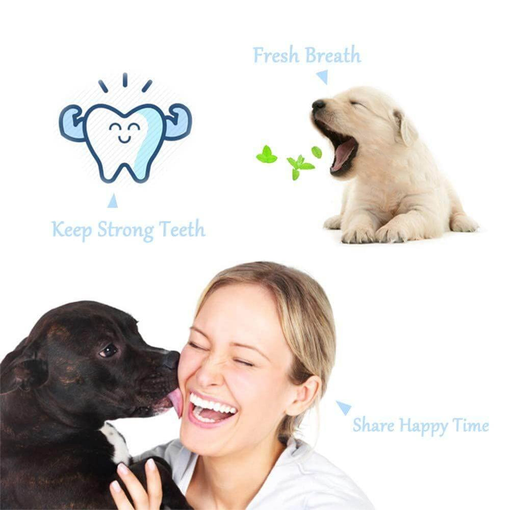 Orgrimmar ready-for-use toothbrush for quick teeth cleaning sessions