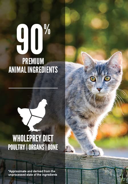 ORIJEN Wholeprey ingredients visualization emphasizes natural protein and minerals