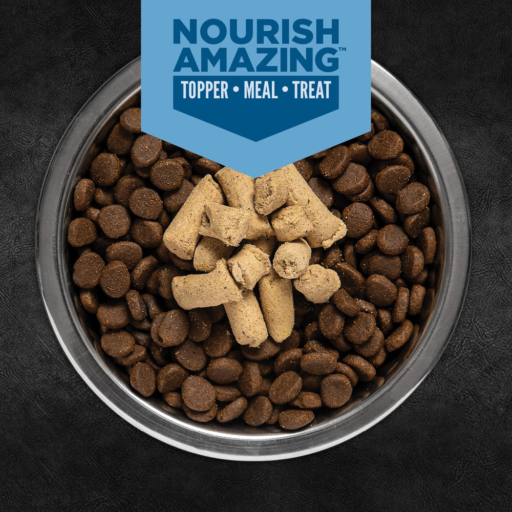 Orijen Epic Bites dog food topper being prepared for added flavor