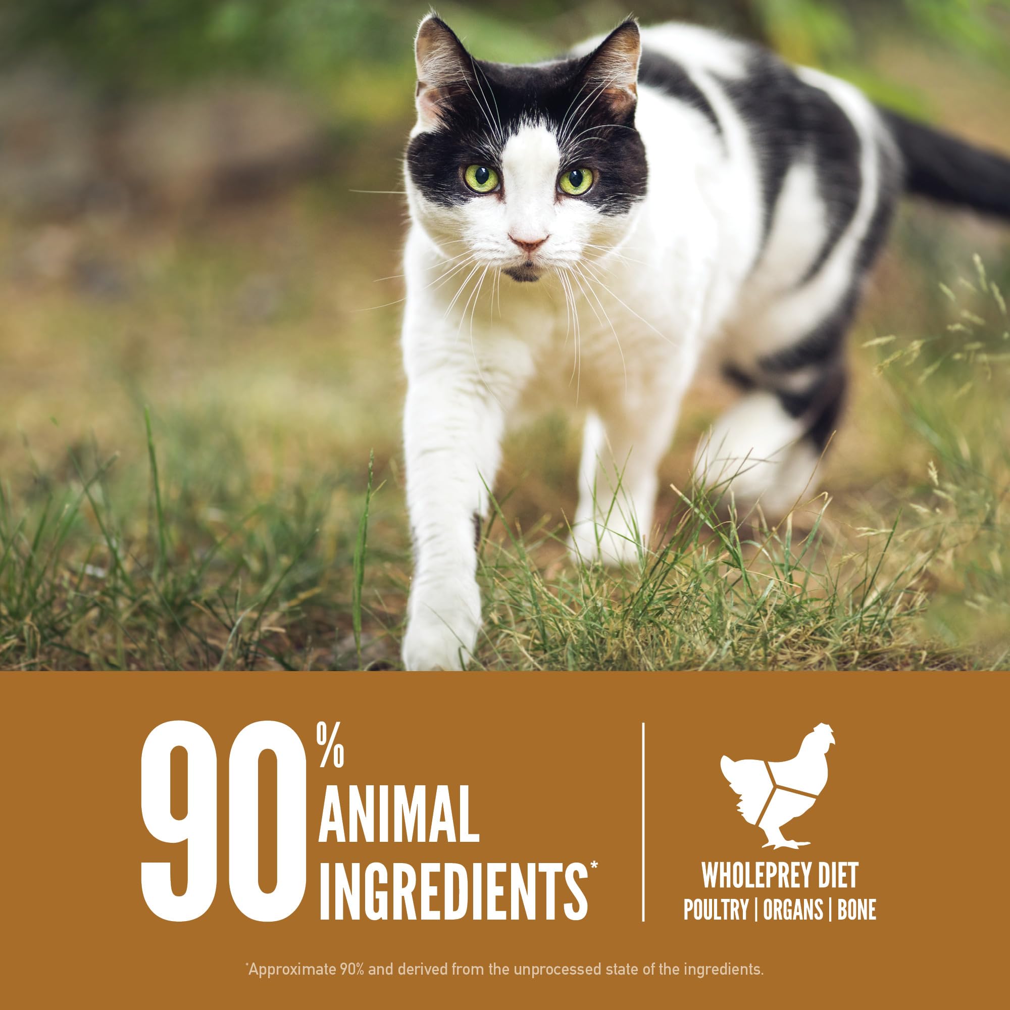 ORIJEN freeze-dried coated kibble delivers burst of raw flavor your cat craves.