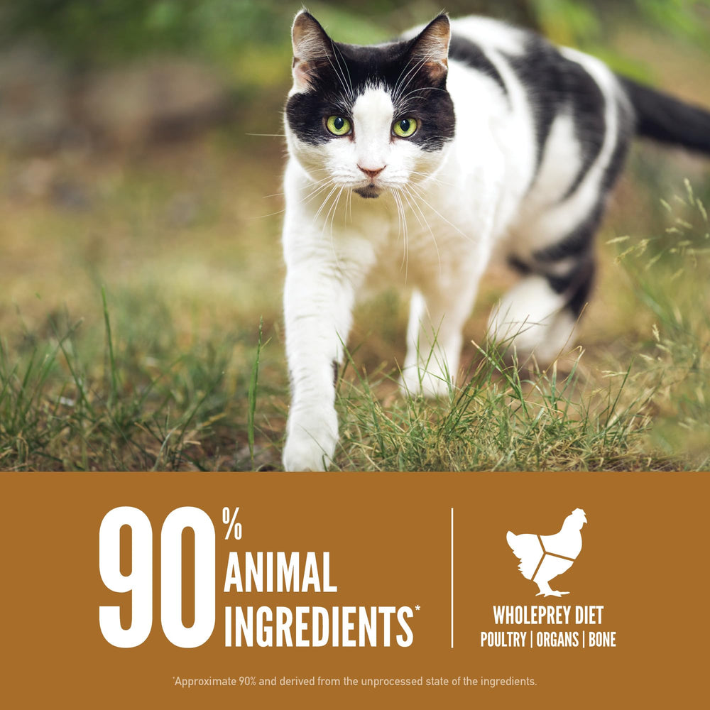 ORIJEN freeze-dried coated kibble delivers burst of raw flavor your cat craves.