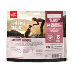 ORIJEN high-protein dog treat closeup – tasty training reward