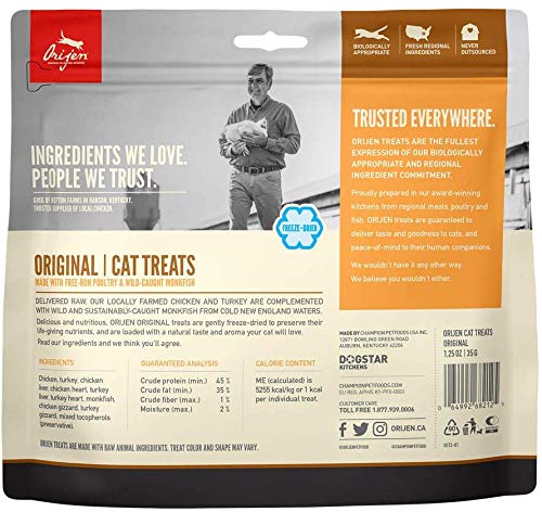ORIJEN Freeze-Dried Bites close-up showing protein-rich texture for tasty rewards.