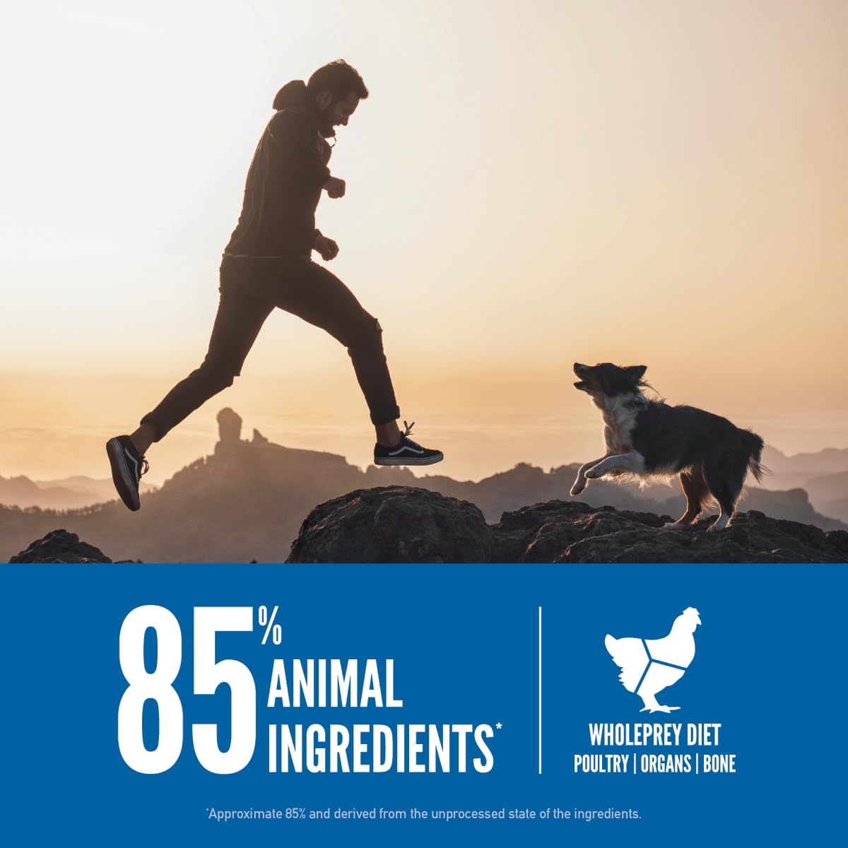 ORIJEN Original WholePrey ingredients image, featuring organs and bones for nutrient-dense nutrition.