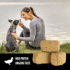 ORIJEN train-and-reward high-protein dog treat image showcases a bite-size reward for training.