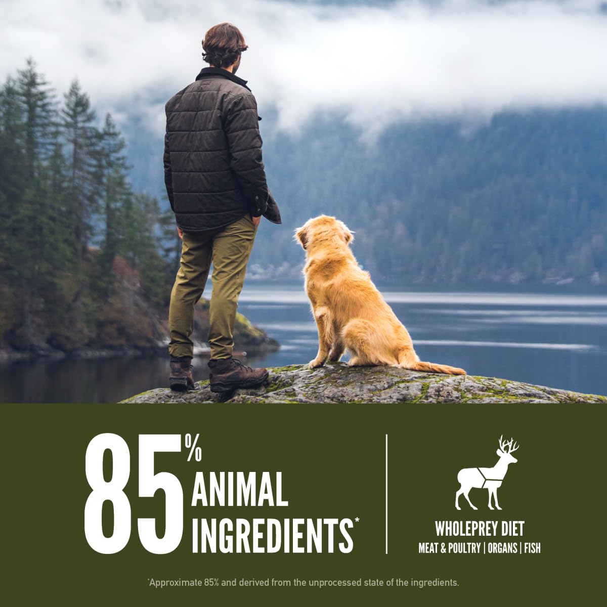 ORIJEN tundra grain-free poultry-free formula shown in kibble.