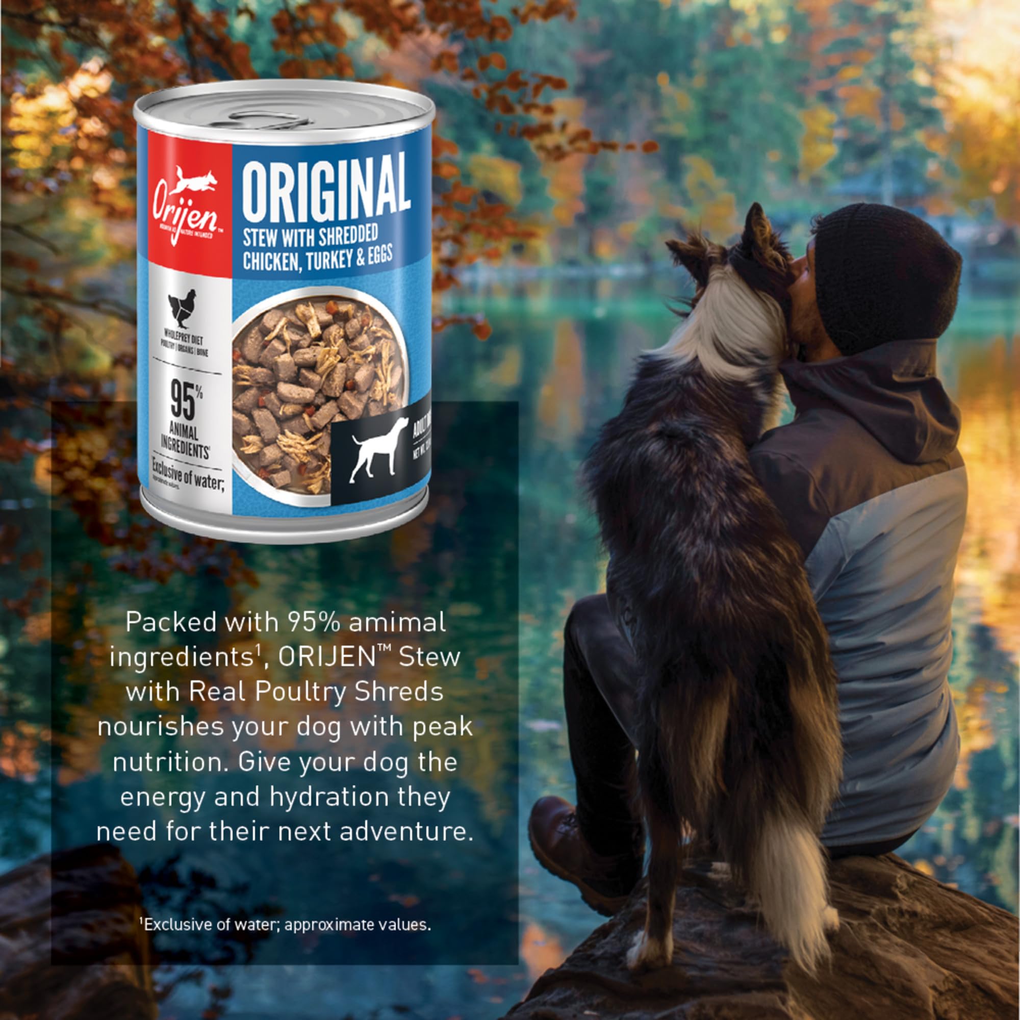 ORIJEN twelve-count cans side view indicating bulk value for households