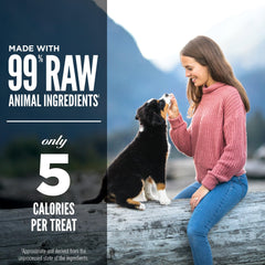 ORIJEN wild-caught flounder ingredient close-up—premium protein for dog flavor.