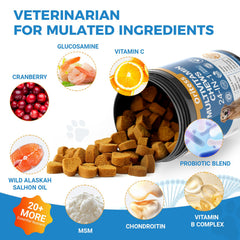 Oritess dog vitamins pack shows 200-chew bottle for easy daily use.