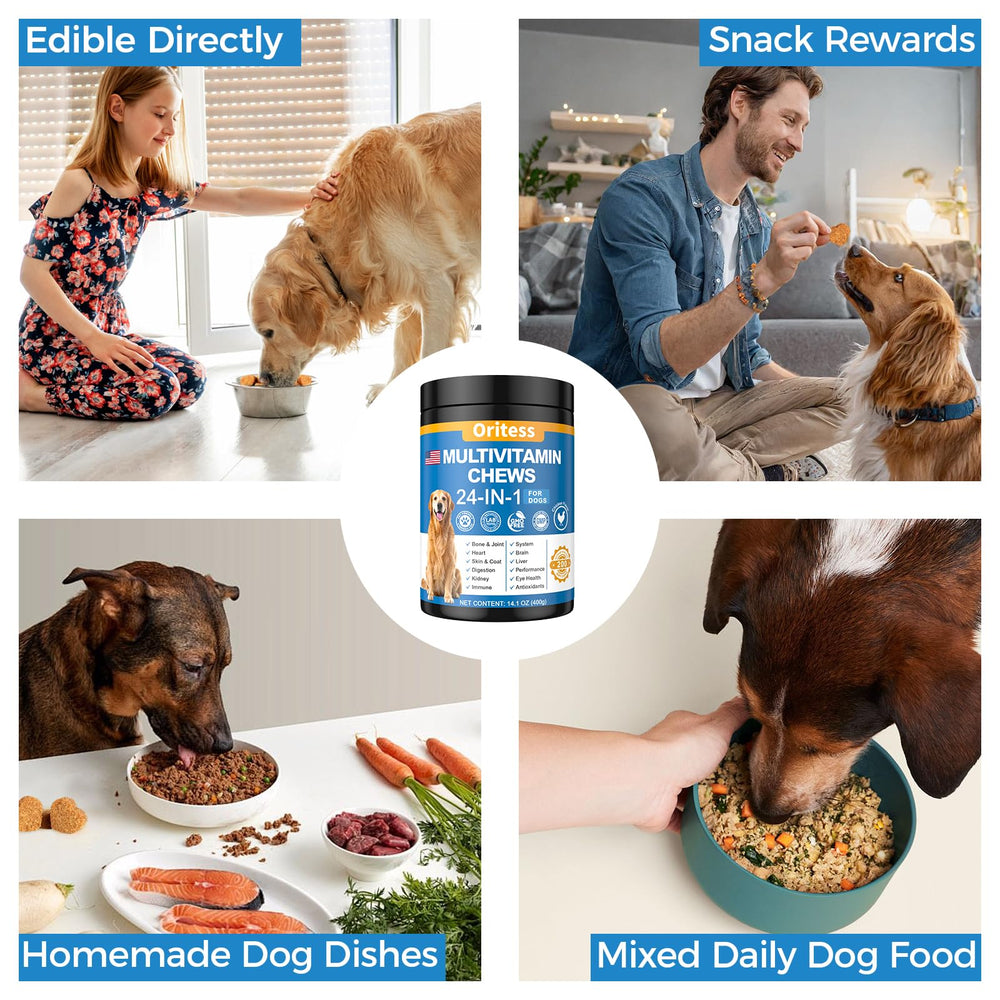 Oritess senior dog enjoying chew showing energy and mobility potential.
