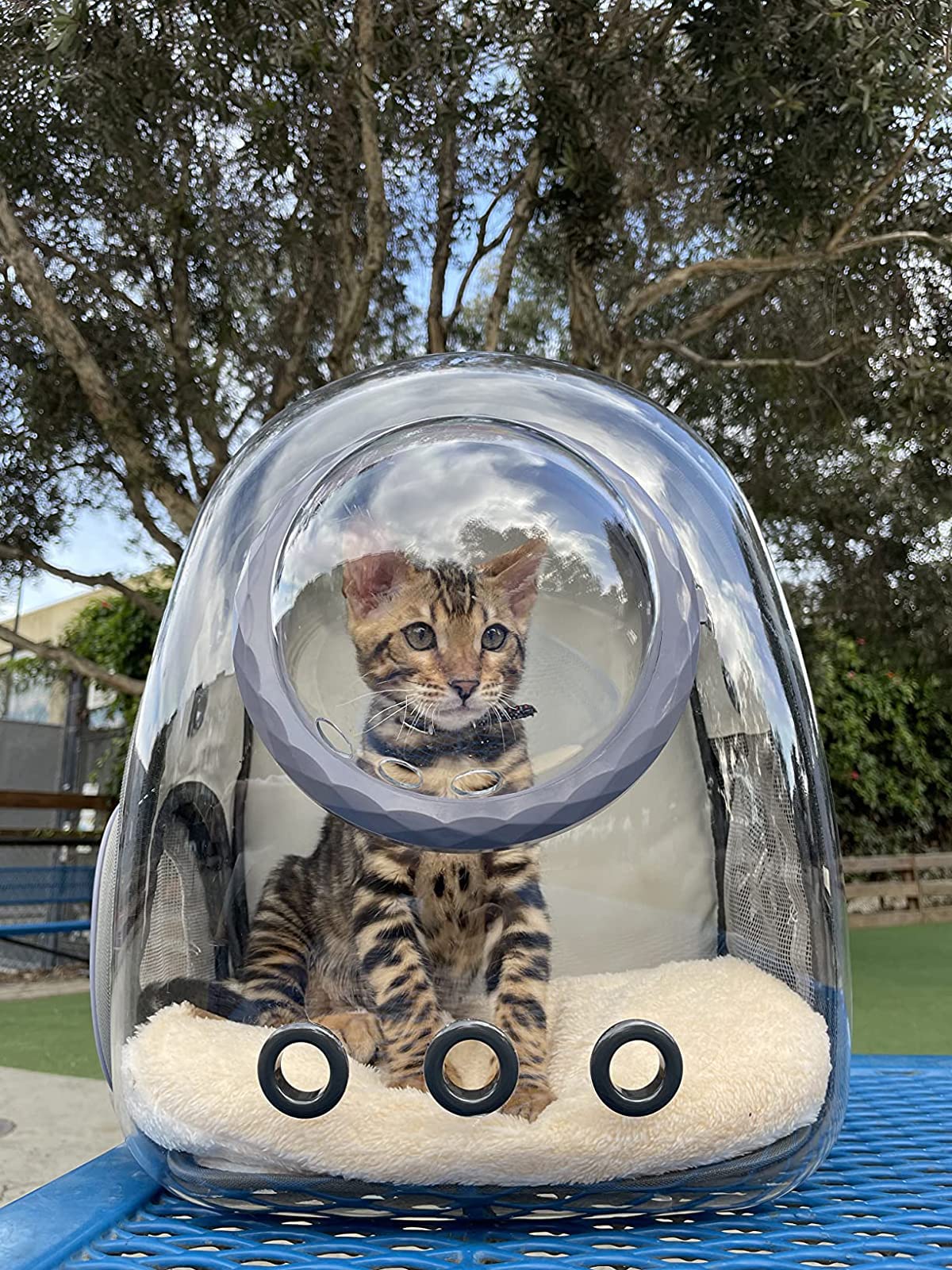 ORIZZP Bubble Cat Carrier Backpack opening entry demonstrates easy pet access in busy days.