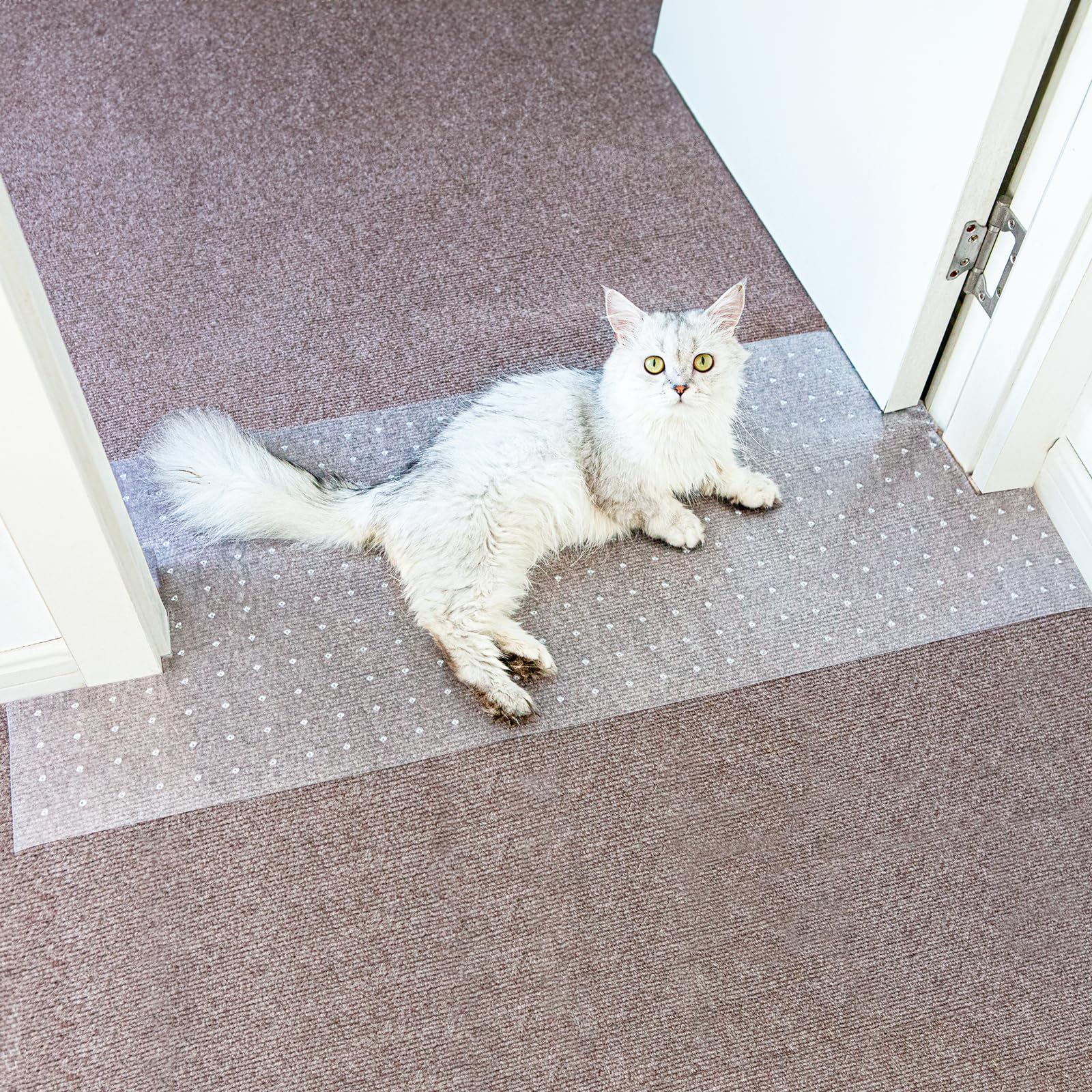 Oroonoko carpet protector clear doorway coverage shows durable pet shield for high-traffic areas