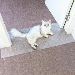Oroonoko doorway carpet protector in clear material shields entryway carpets