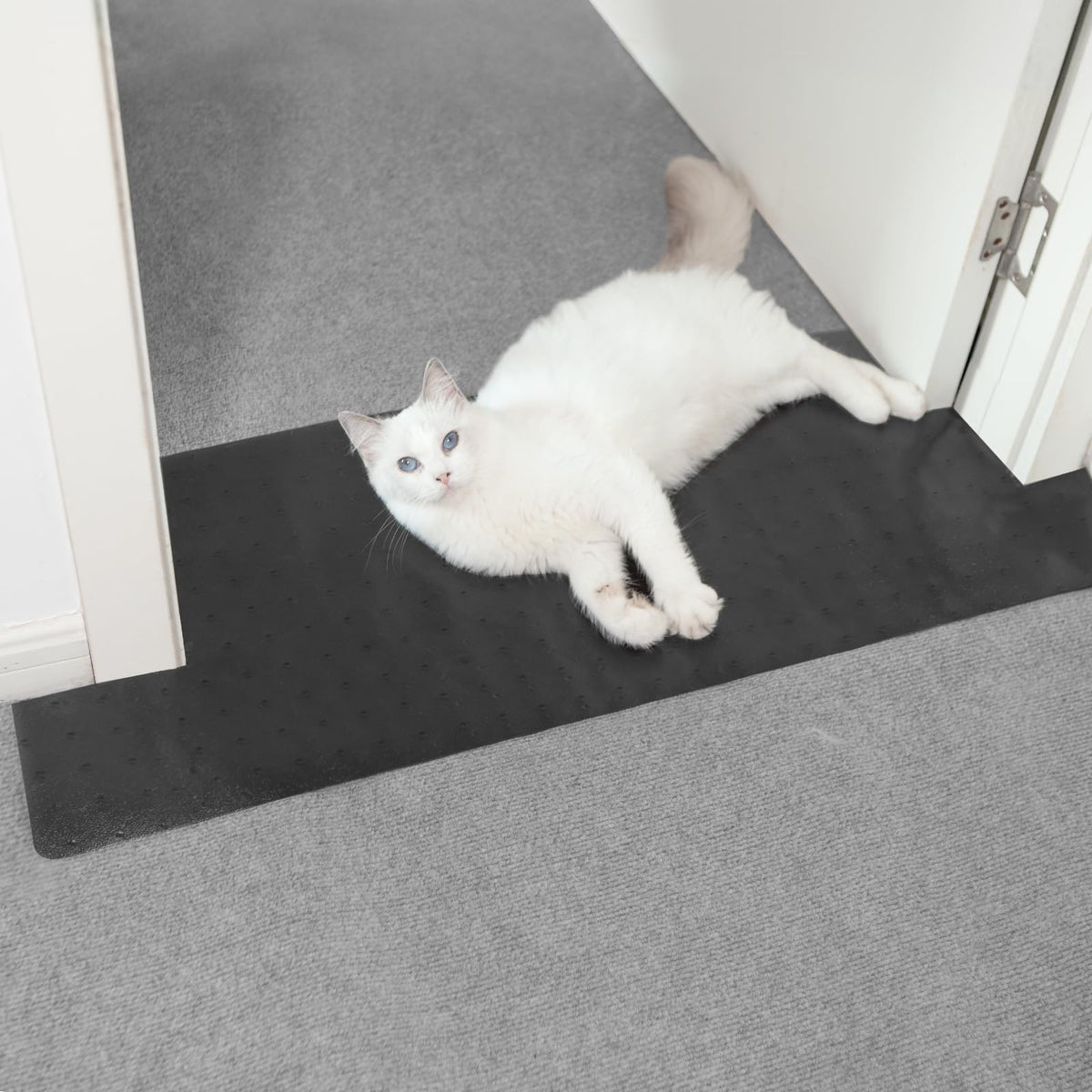 Oroonoko doorway carpet protector roll covering a doorway for pet protection and easy installation.