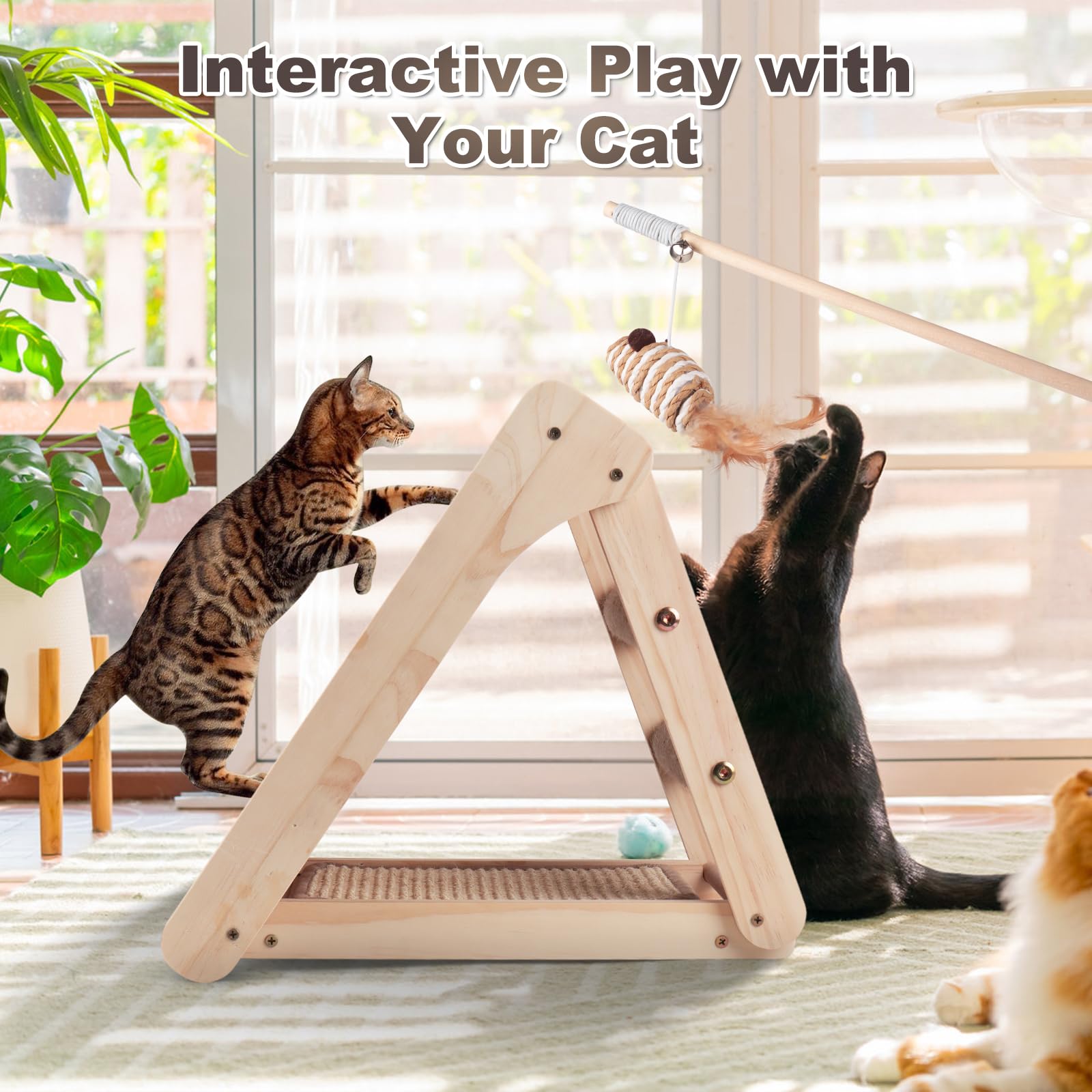 Oroonoko stylish pet furniture blends with home decor