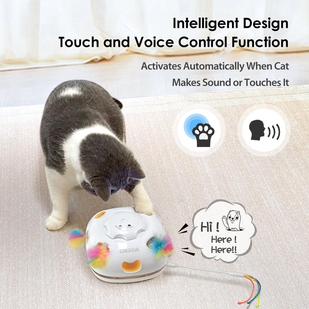 ORSDA safe ABS material protects curious paws during intense play.