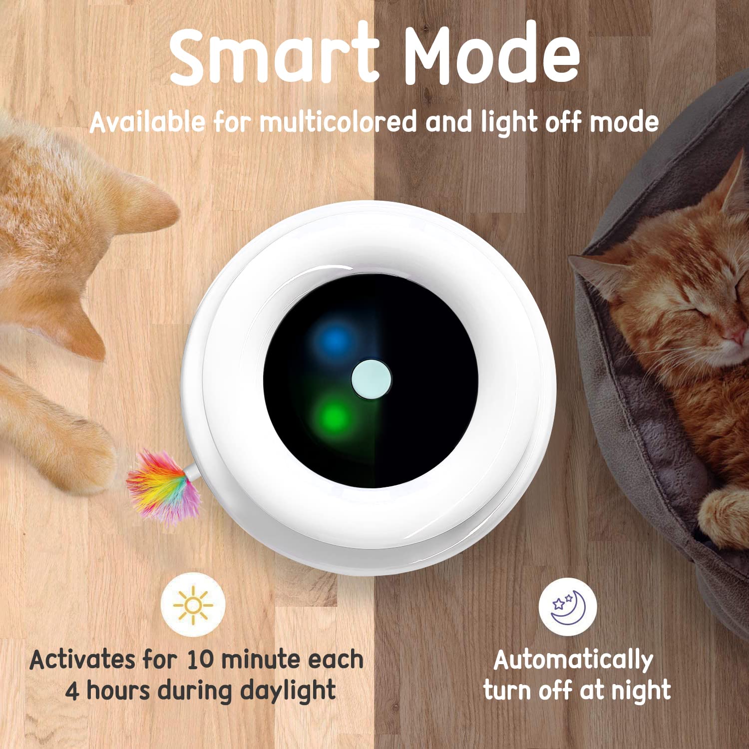 ORSDA paw-friendly track design keeps paws safe during play