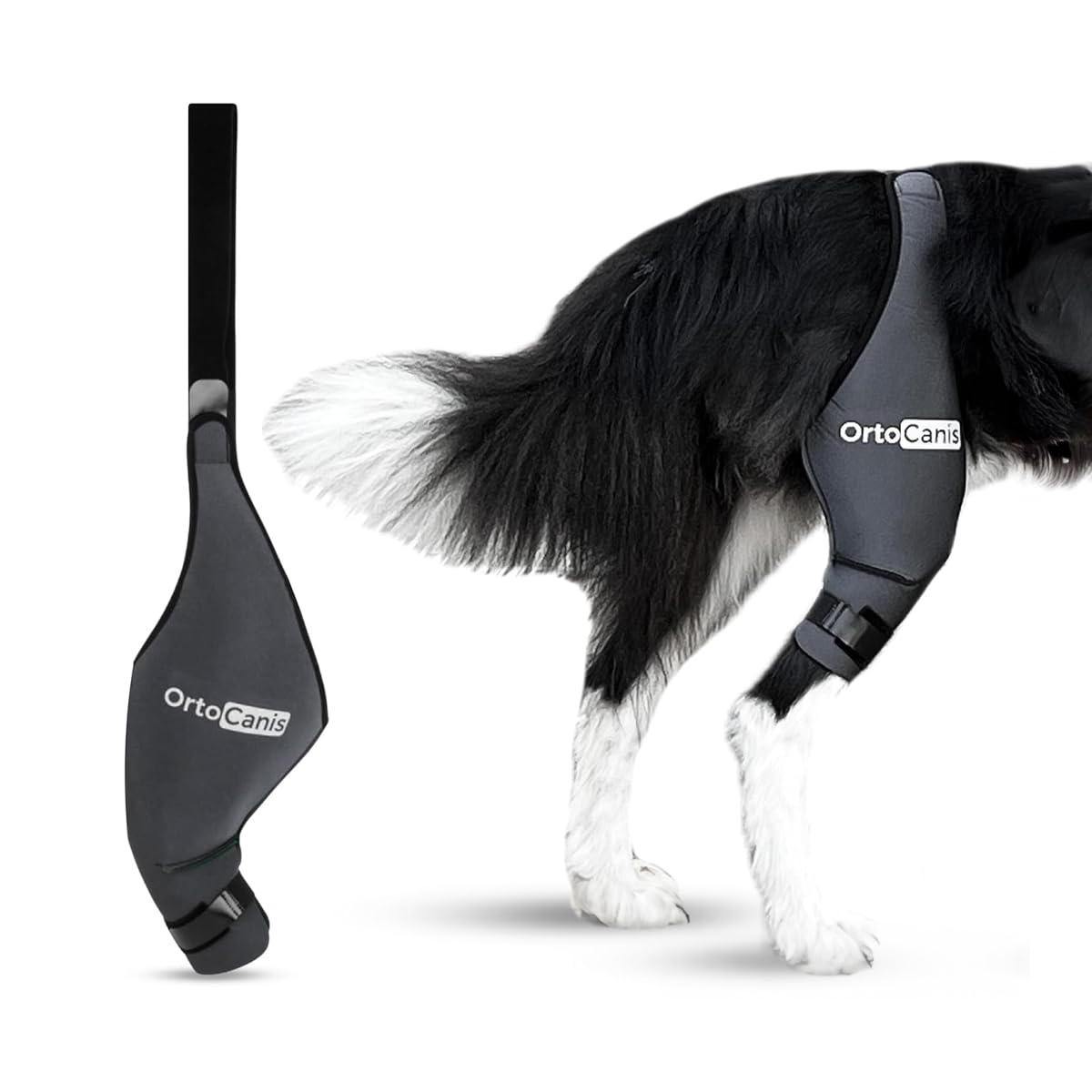 Ortocanis dog knee brace left hind leg close-up showing secure fit for stable support.