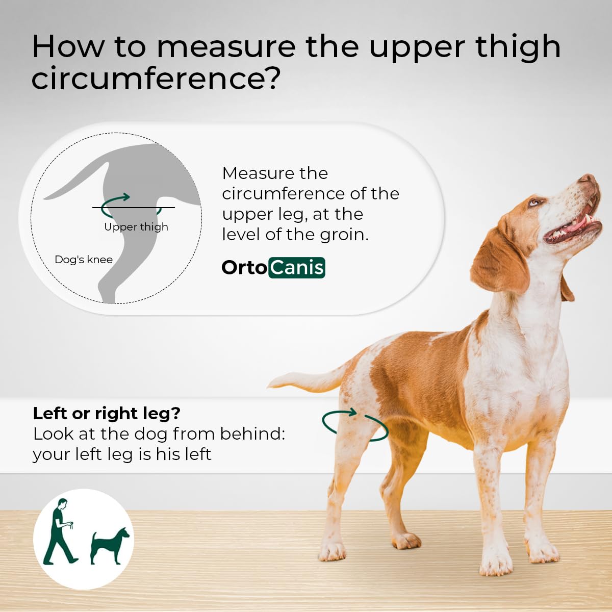 Ortocanis dog knee brace strap-fasteners for secure fit and quick adjustments.