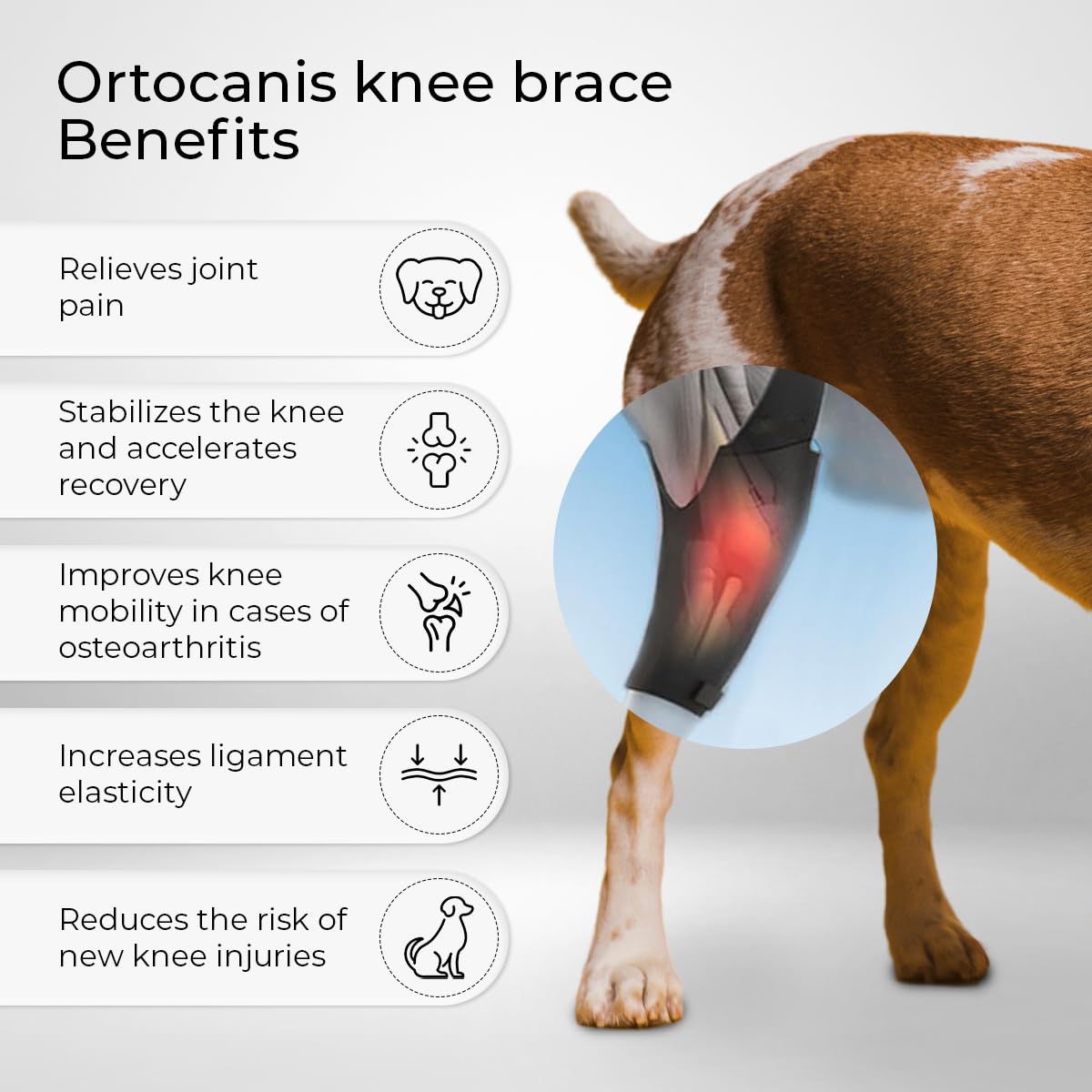Ortocanis neoprene knee brace close-up shows stretchy material for flexible movement.