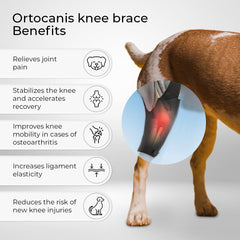 Ortocanis neoprene knee brace close-up shows stretchy material for flexible movement.