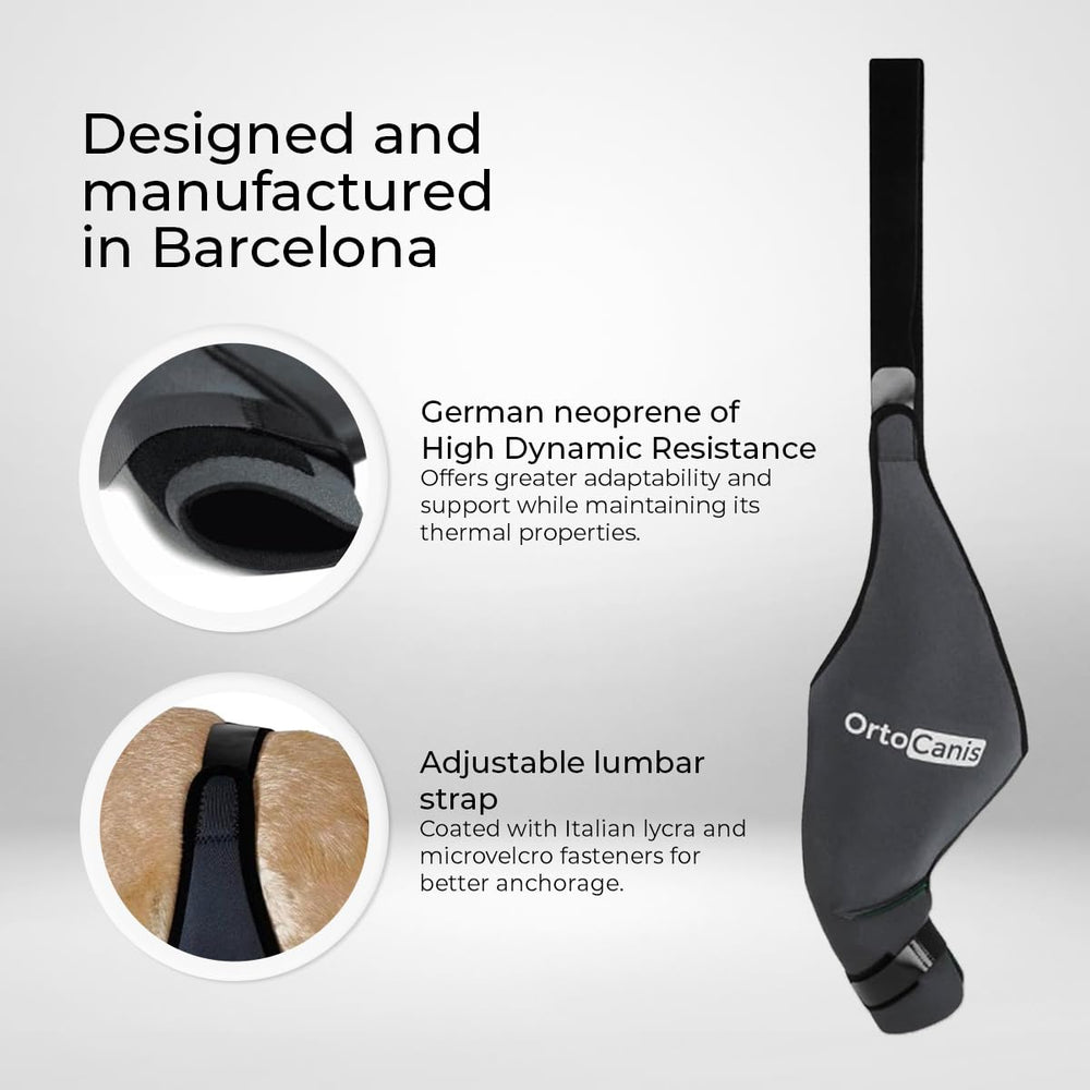 Ortocanis XS knee brace size helps ensure proper fit for small dogs.