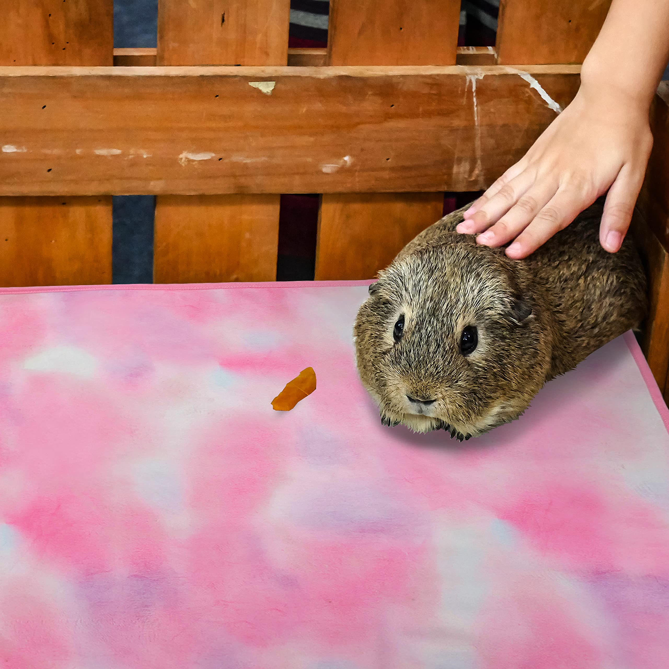 Orzechko cozy cage mat in rabbit run evokes homey feel.