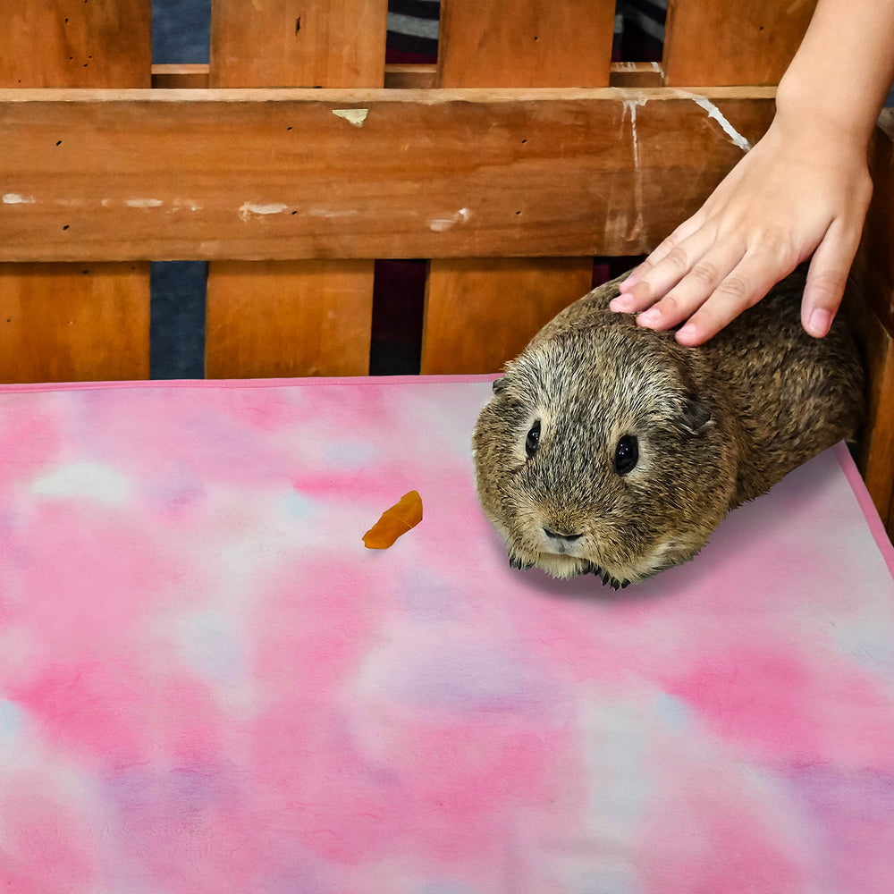 Orzechko cozy cage mat in rabbit run evokes homey feel.
