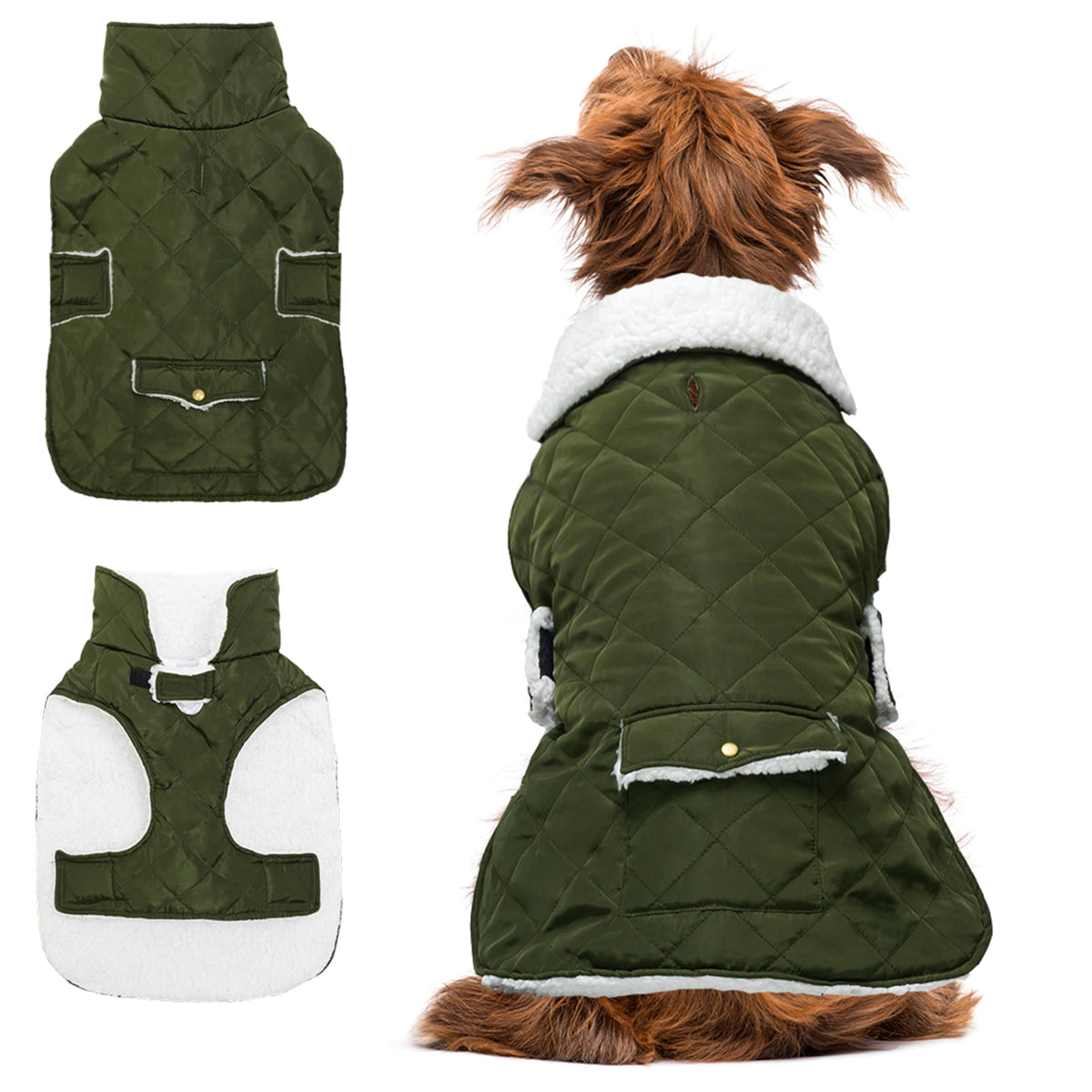ORZECHKO dog winter coat back view shows windproof warmth for cold days