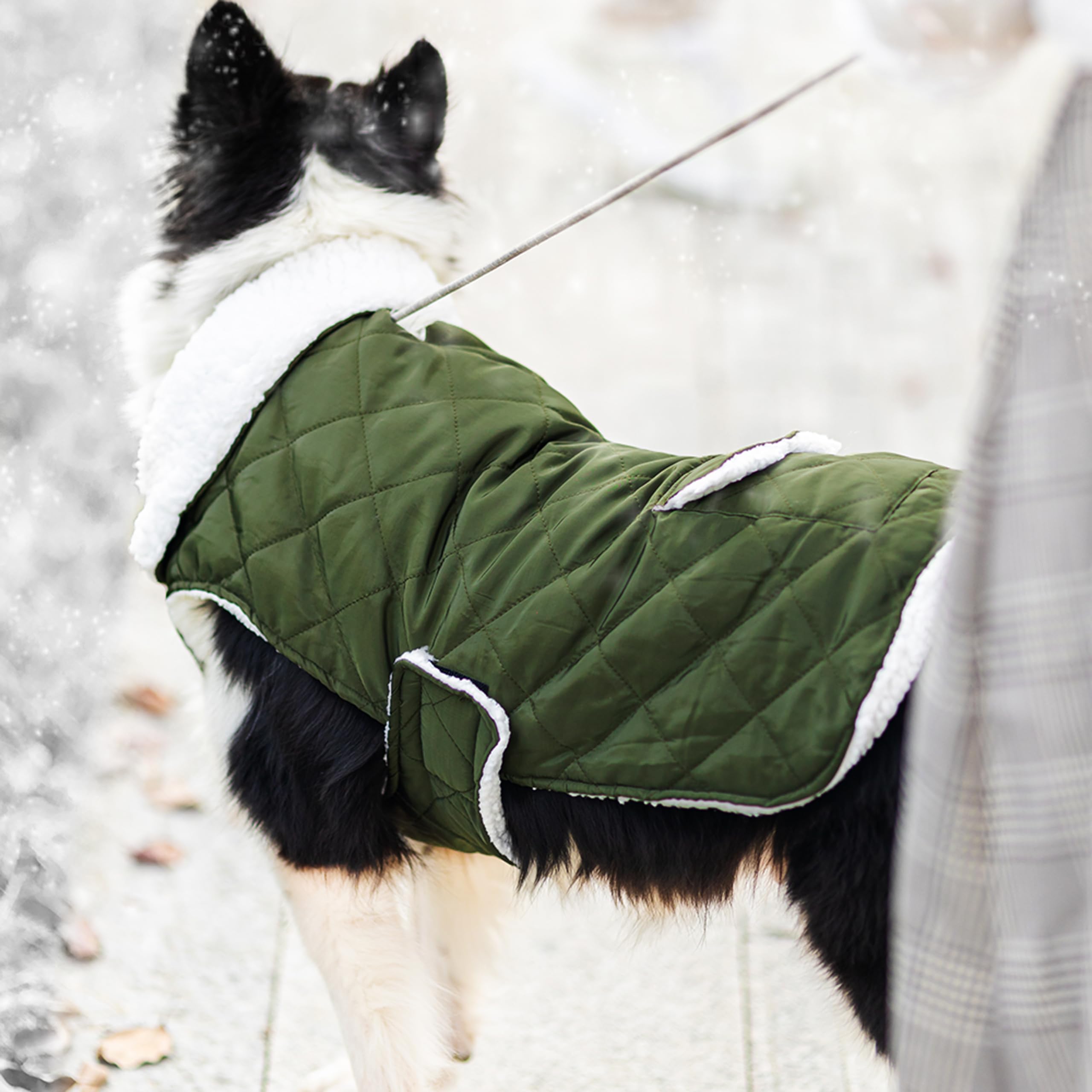 ORZECHKO dog winter coat windproof outer keeps dogs dry in wind and rain.