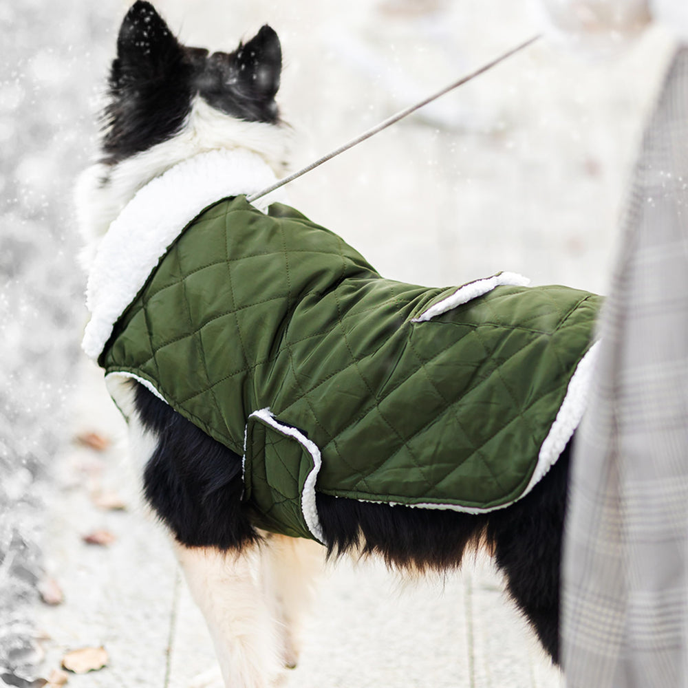 ORZECHKO dog winter coat windproof outer keeps dogs dry in wind and rain.