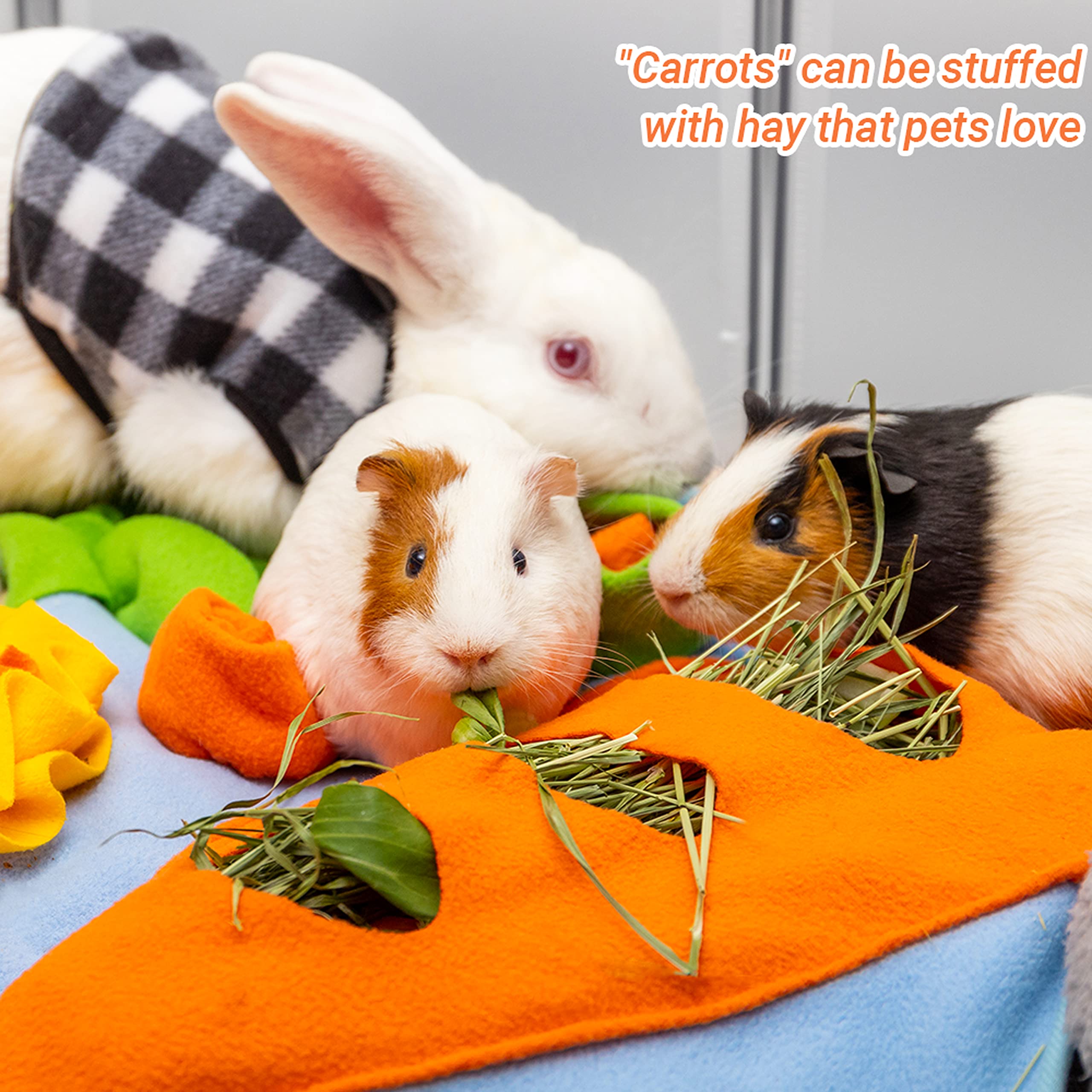 ORZECHKO Pet enjoys foraging enrichment and slow-paced nibbling.