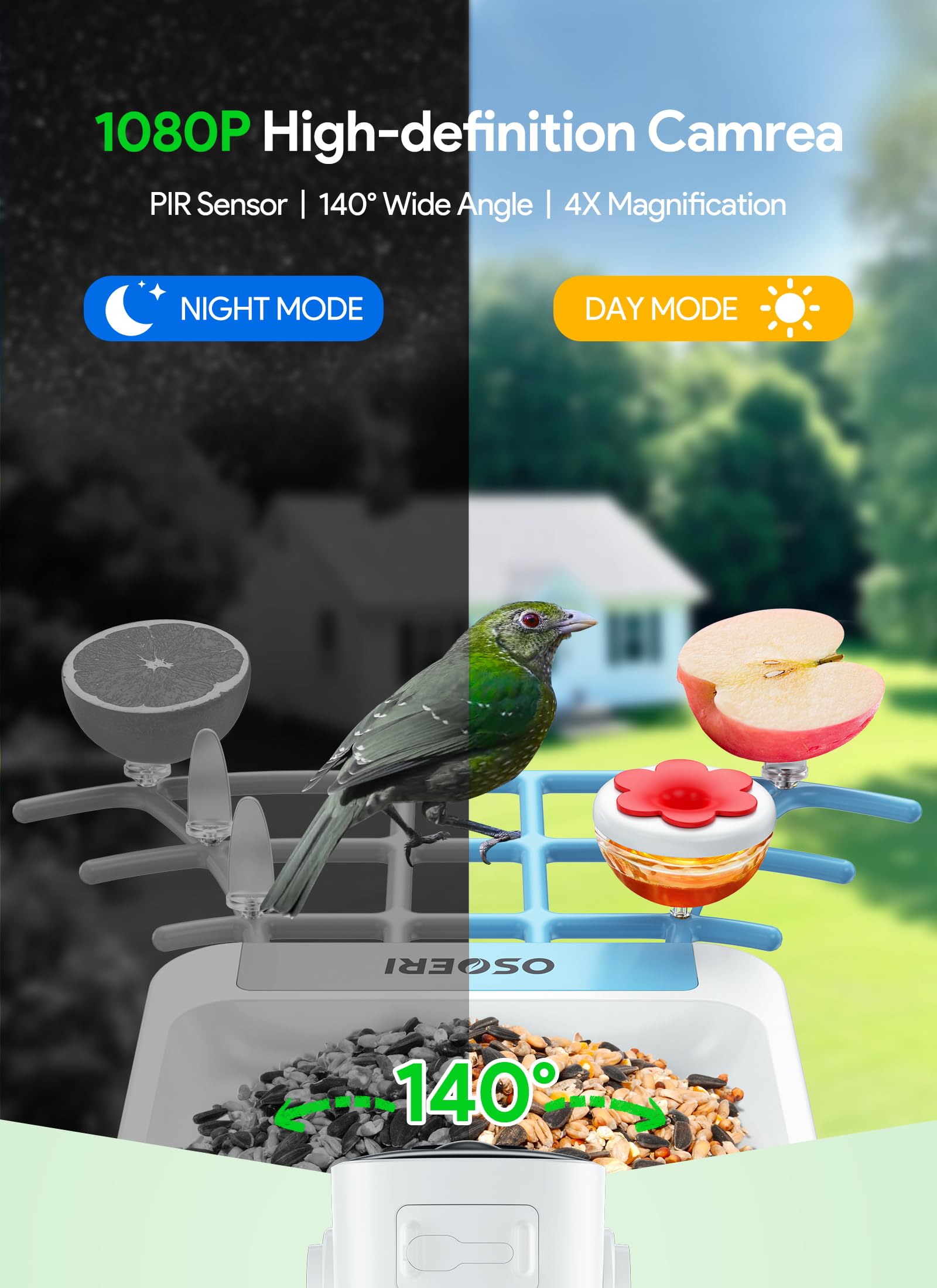 Osoeri AI recognition identifies species in real time for organized backyard observations