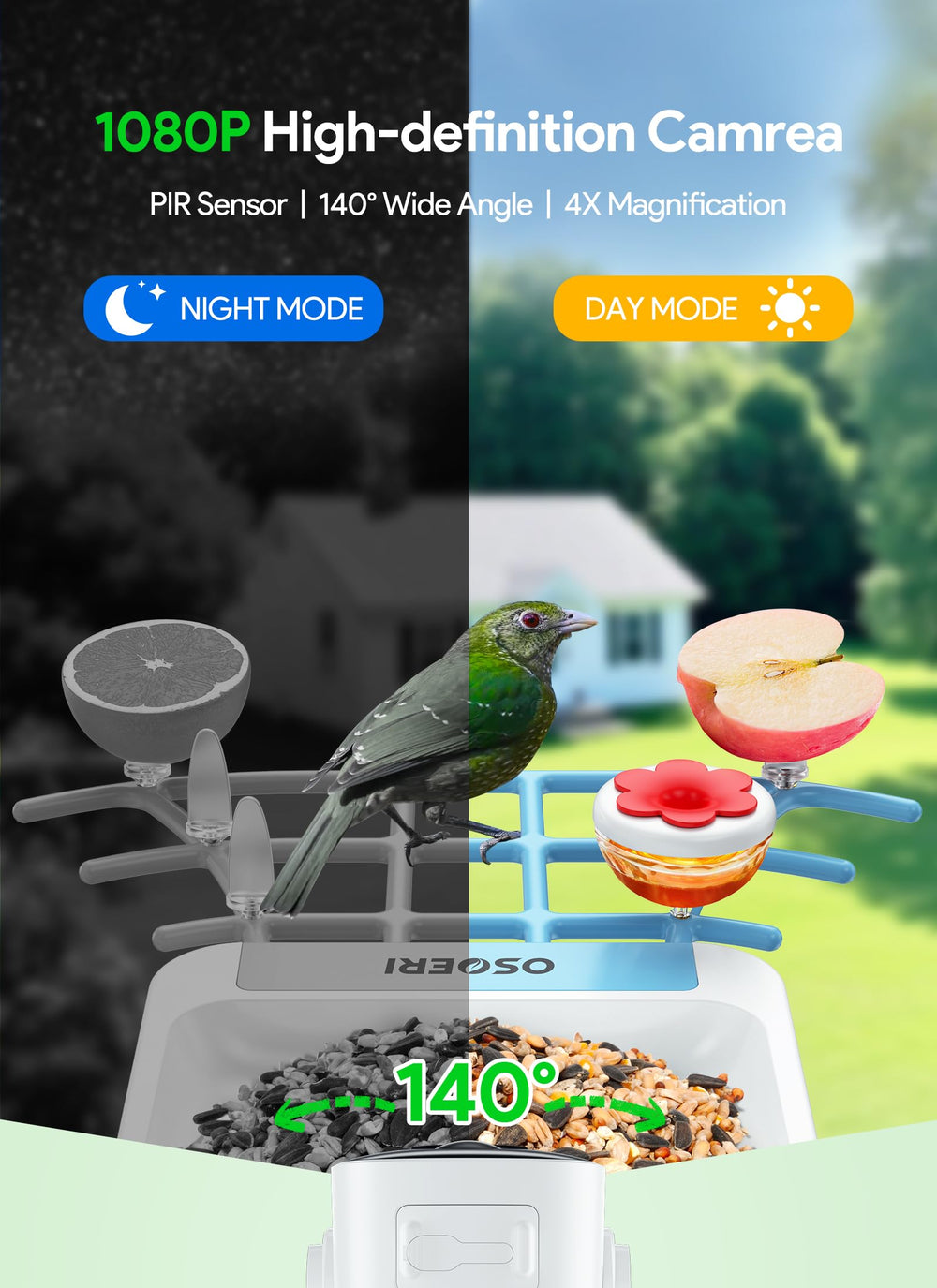 Osoeri AI recognition identifies species in real time for organized backyard observations