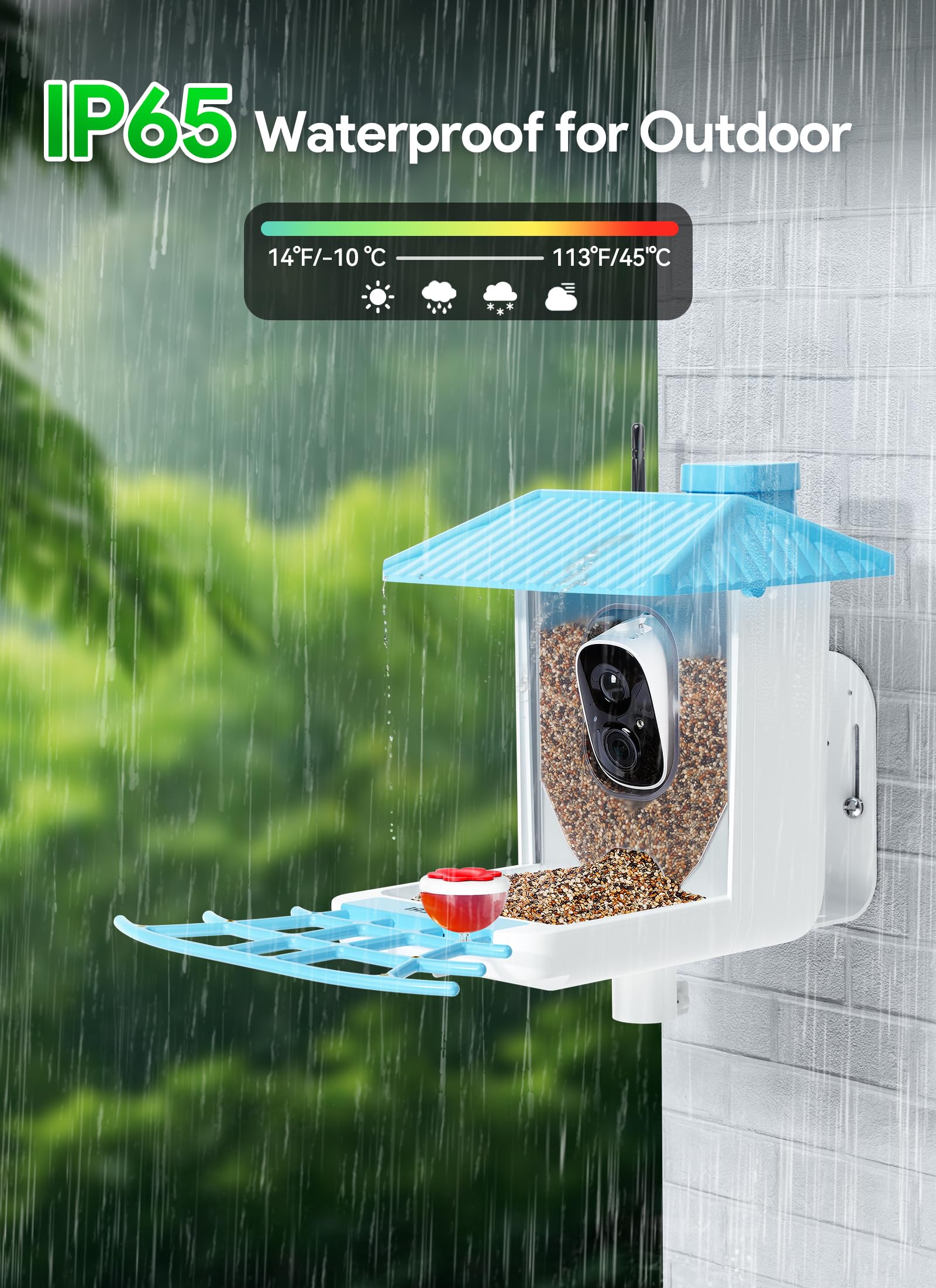 Osoeri weatherproof design withstands rain and wind for year-round bird watching