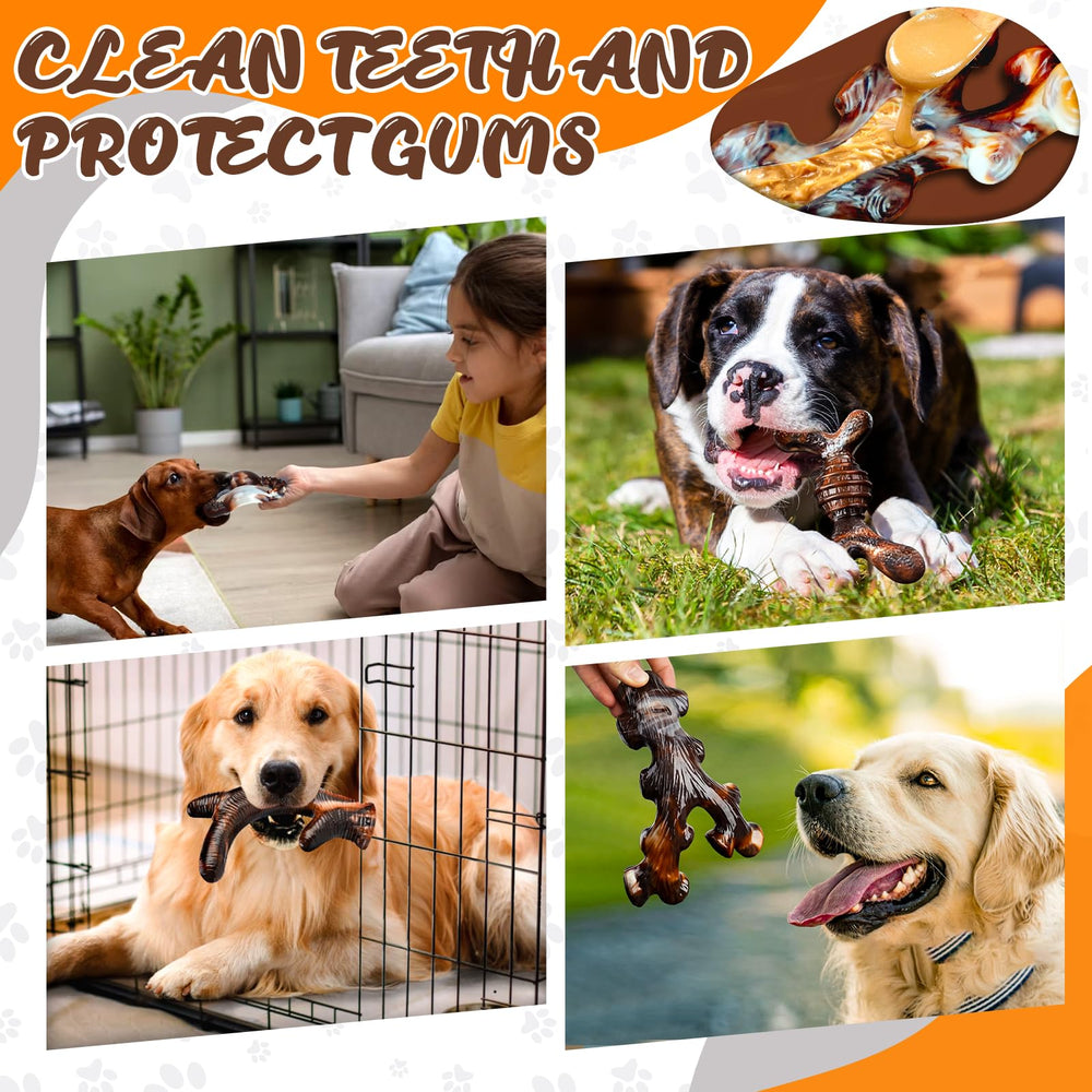 OSORD gift-ready packaging suits birthdays and holidays for dogs.