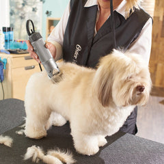 Oster Clipmaster internal cooling fan helps prevent overheating during grooming