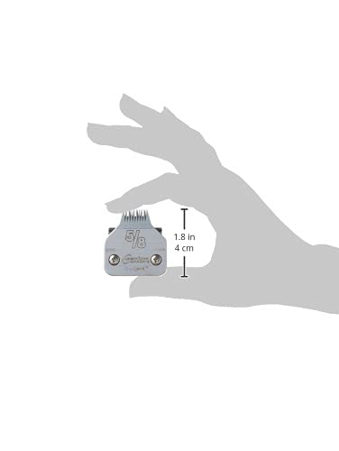 Oster Cryogen-X packaging view with blade and accessories.