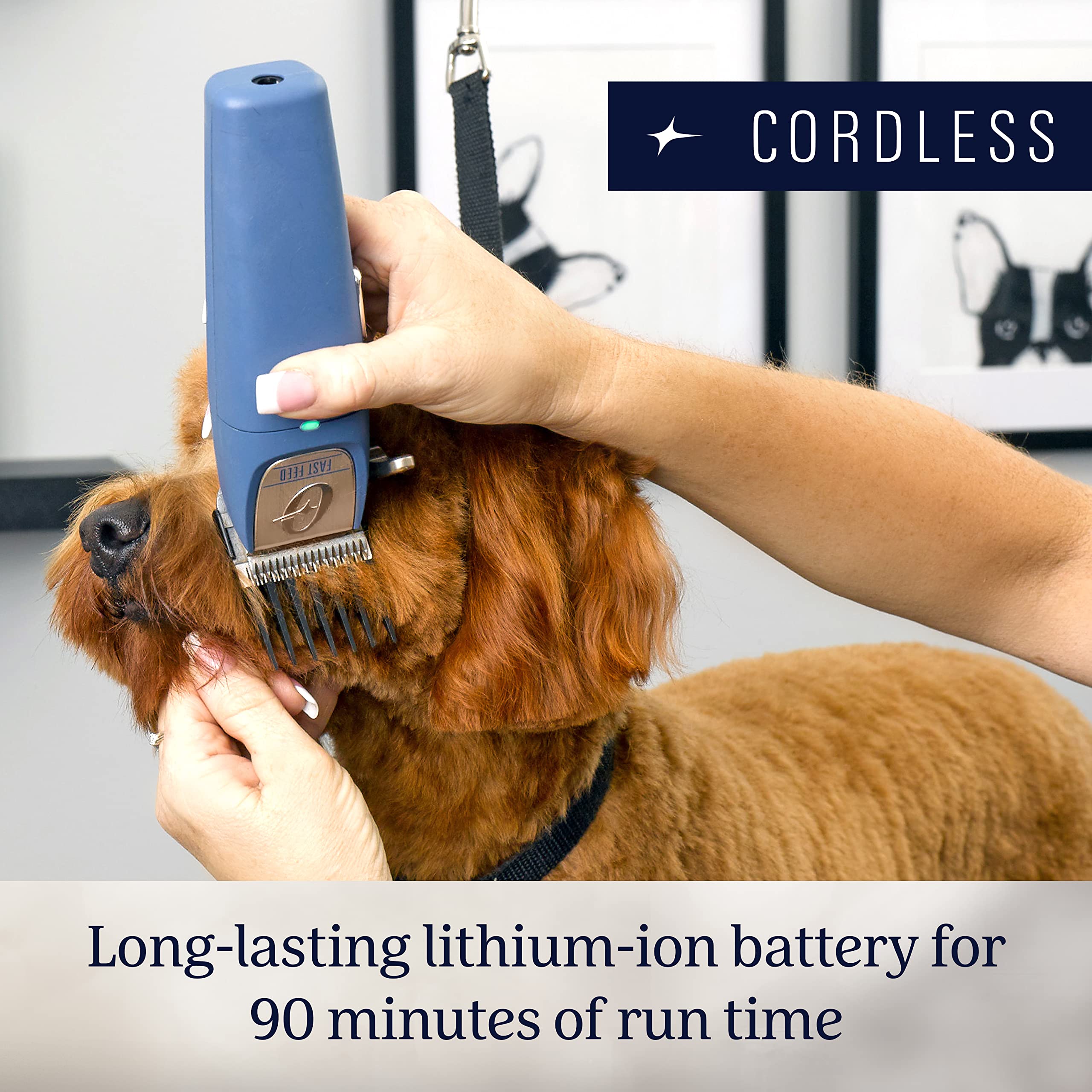 Oster Professional Fast Feed cordless pet clippers blue side view for precise fades