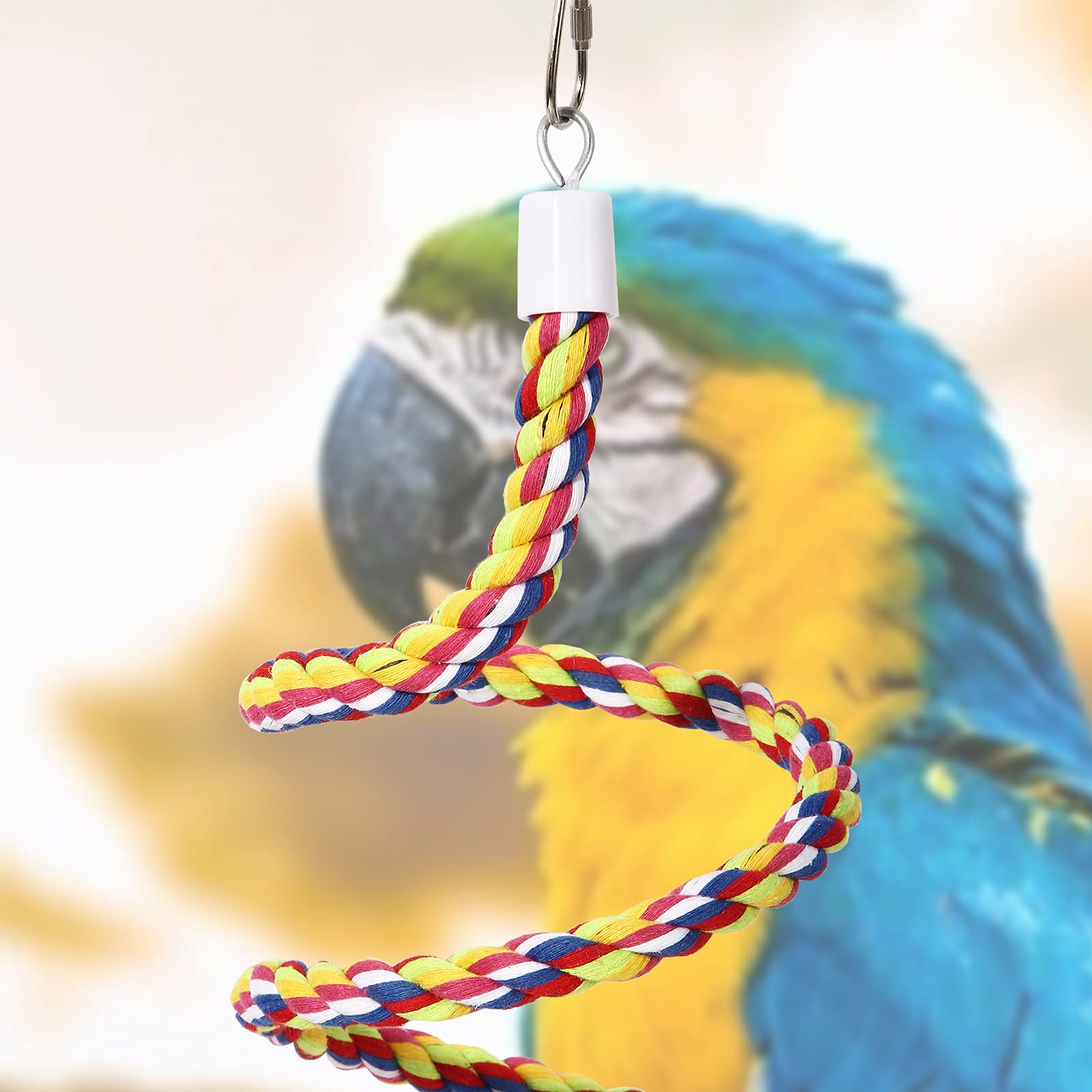 OSWINMART parrot toy swing in action promotes active exercise and exploration.