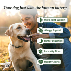 Other Half Everyday joint-support blend on label suggests hip mobility benefits for active dogs