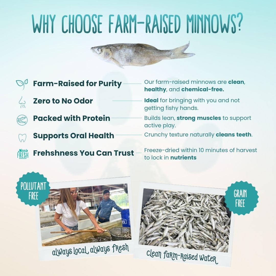 Indoor training reward with Otis and Pearly minnows for positive reinforcement.