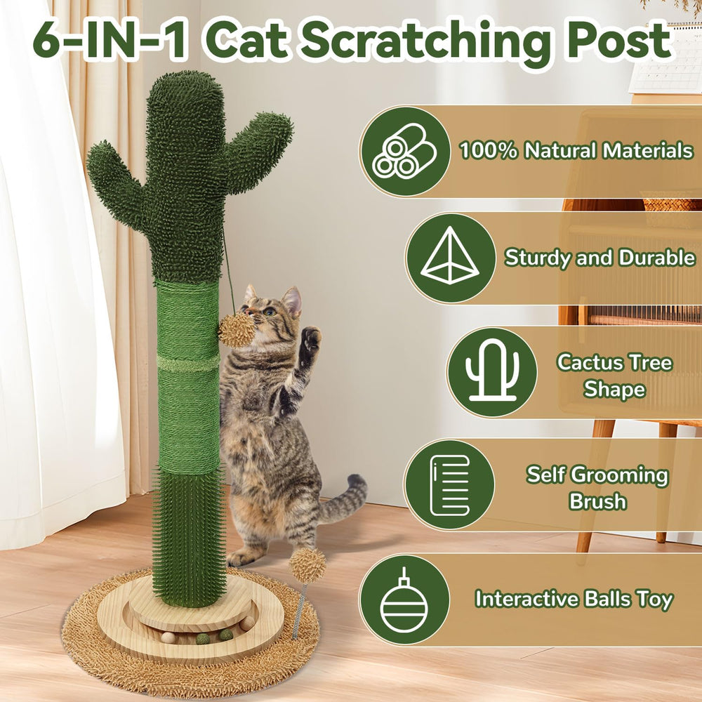 OTOB 5-in-1 cat activity center combines scratching, play, and movement.